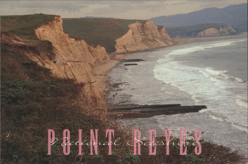 Point Reyes National Seashore Drakes Bay White Cliffs California