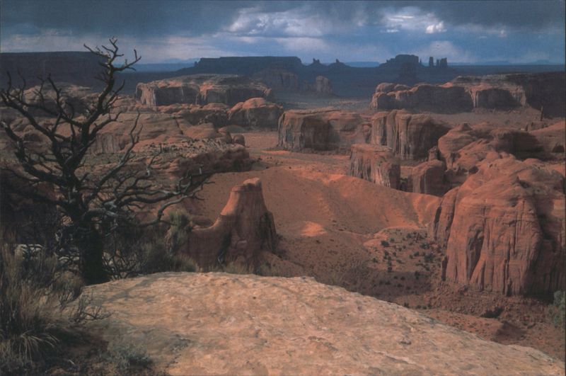 Monument Valley Landscape with Dead Tree Utah ALLEN KARSH