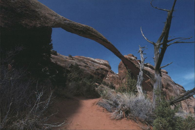 Landscape Arch, Arches National Park Utah Wes Greenhalgh