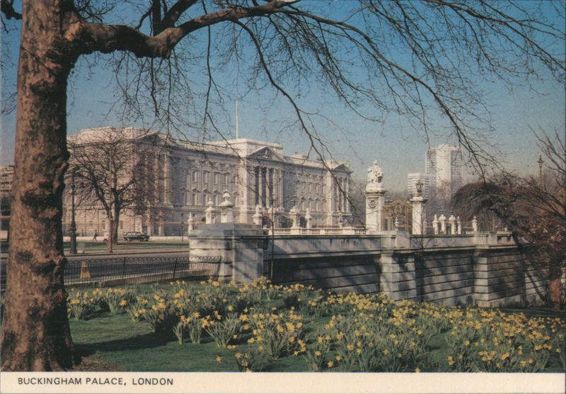 Buckingham Palace East Front with Daffodils, London United Kingdom