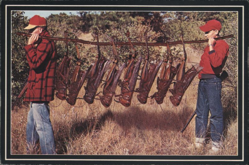 Men with Giant Hybrid Grasshoppers as Wild Game Mike Roberts