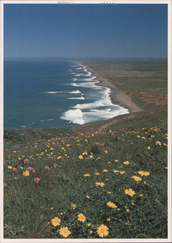 Point Reyes National Seashore, The Great Beach California