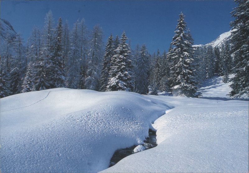 Snowy Winter Mountain Landscape with Pine Trees Gerd Wagner