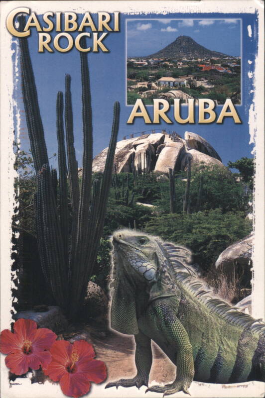 Casibari Rock, Iguana, Cacti, Hibiscus Flowers, Aruba
