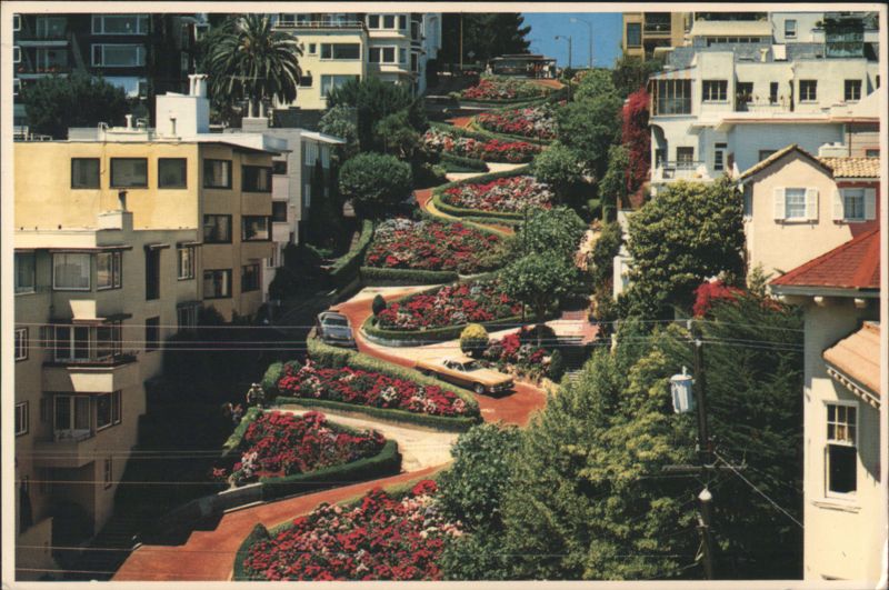 Lombard Street, Crookedest Street, Colorful Flowers San Francisco California