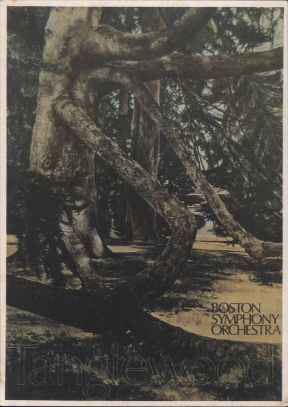 Tanglewood Gnarled Evergreens, Boston Symphony Orchestra Lenox Massachusetts