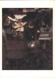 Thomas Eakins, The Gross Clinic, 1875 Postcard