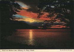 Sunset over Muckross Lake, Killarney, Co. Kerry Postcard