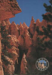 Bryce Canyon UT Peekaboo Loop Trail Red Rock Hoodoos Postcard