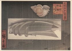 Seashell & Futuristic Vessel Collage by Malcolm Tarlofsky Postcard