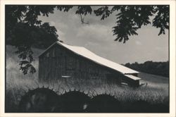HOT TIN ROOF Postcard