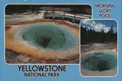 Morning Glory Pool, Yellowstone National Park Postcard
