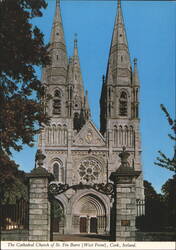 St. Fin Barre Cathedral, West Front, Cork Postcard