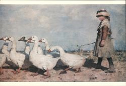 TO PASTURES NEW - Girl Herding Geese Postcard