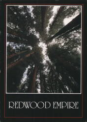 Redwood Empire Tall Trees Looking Up Northern CA Postcard
