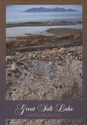 Great Salt Lake Antelope Island Postcard
