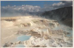 MINERVA TERRACE, Mammoth Hot Springs, Yellowstone Postcard