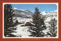 WINTERTIME SOLITUDE Postcard