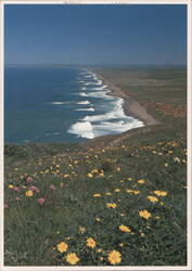 Point Reyes National Seashore, The Great Beach Postcard