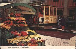 San Francisco Cable Car & Flower Stands Postcard