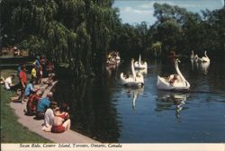 Swan Ride, Centre Island Postcard