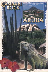 Casibari Rock, Iguana, Cacti, Hibiscus Flowers, Aruba Postcard