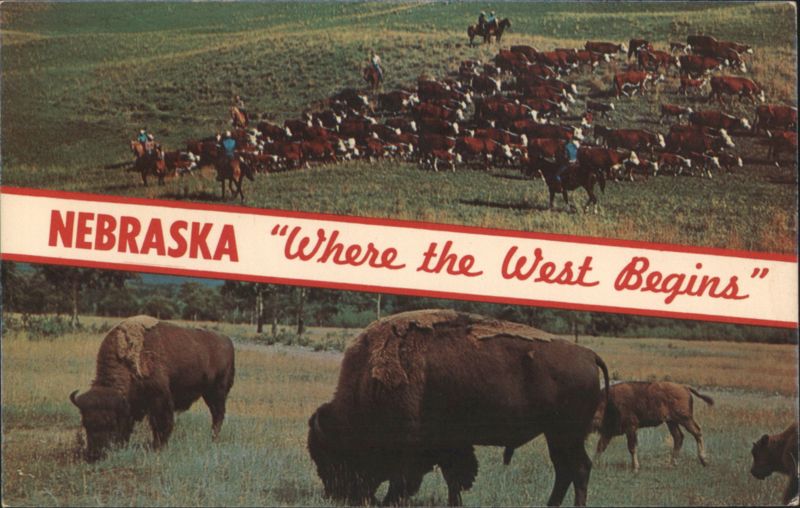 Where the West Begins - Cowboys, Cattle, Buffalo Nebraska