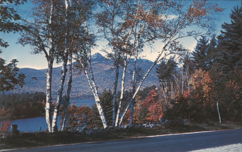 Mt. Chocorua & Lake, White Mountains, Autumn Birches New Hampshire
