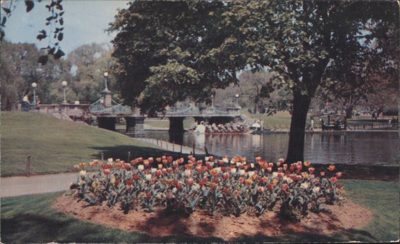 Public Garden Swan Boats & Flower Beds, Boston Massachusetts