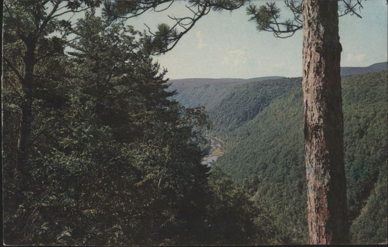 South View, Grand Canyon of PA, Leonard Harrison State Park Wellsboro Pennsylvania
