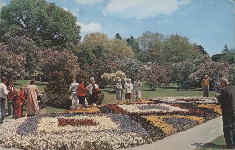 Highland Park Lilac Festival Pansy Bed, Rochester, NY New York