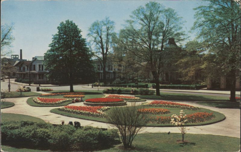 Tulips in Plymouth Park, Rochester, NY New York George W. Allen