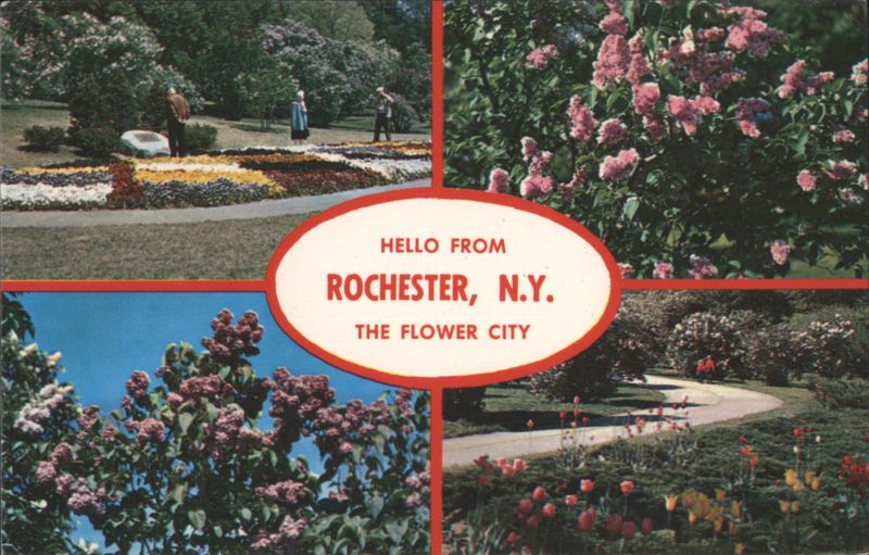 Lilacs, Rochester, NY - The Flower City New York