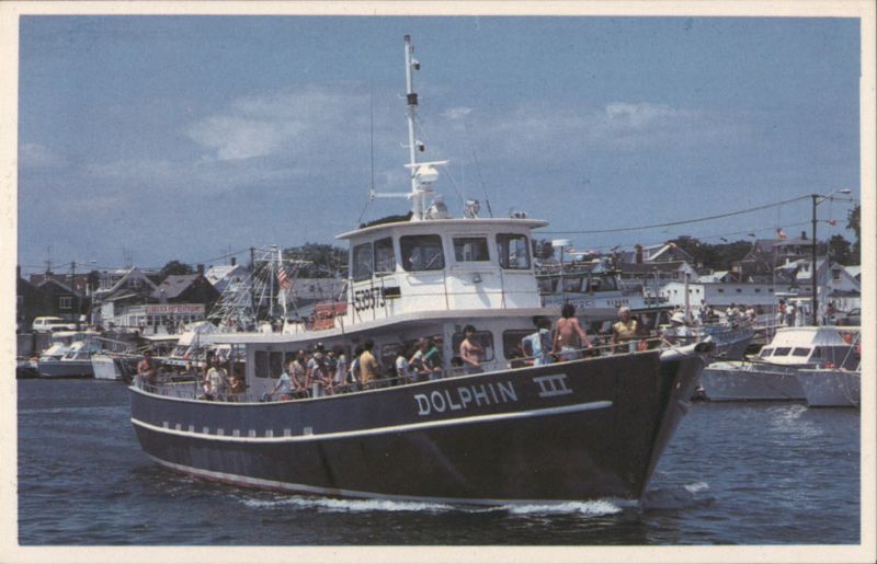 Dolphin III Whale Watching Boat, Provincetown, MA Massachusetts