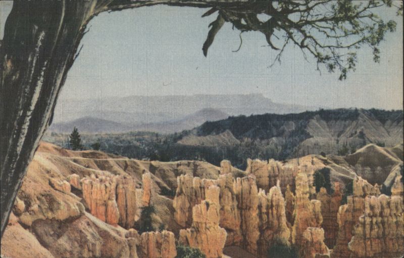 Bryce Canyon National Park, Utah Hoodoos Landscape