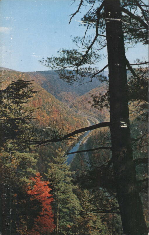 Colton Point State Park, PA Grand Canyon Fall View Wellsboro Pennsylvania