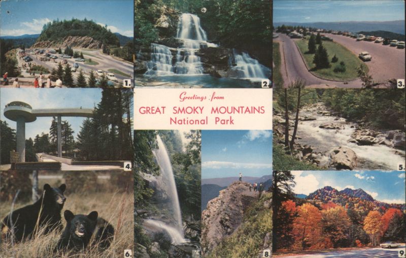 Great Smoky Mountains NP, Laurel Falls, Black Bears, Autumn