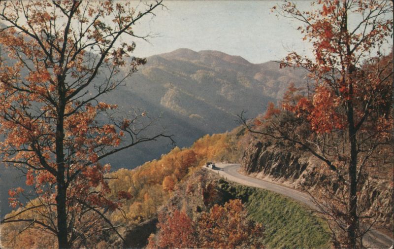 Autumn Newfound Gap Highway Great Smoky Mountains NP