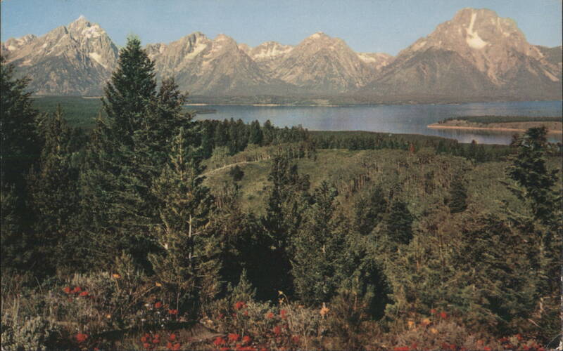 Grand Teton National Park, Jackson Lake & Signal Mtn. Wyoming