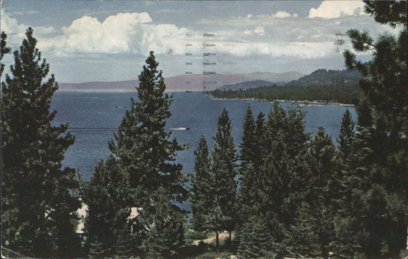 Lake Tahoe California-Nevada State Line Pine Trees