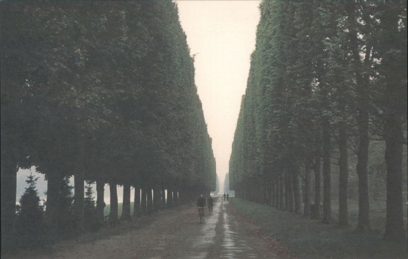 Tree-lined Avenue, Cyclists, Gardens of Versailles France