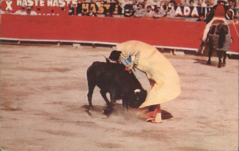 Bullfighting La Rebolera Cape Pass, Mexico
