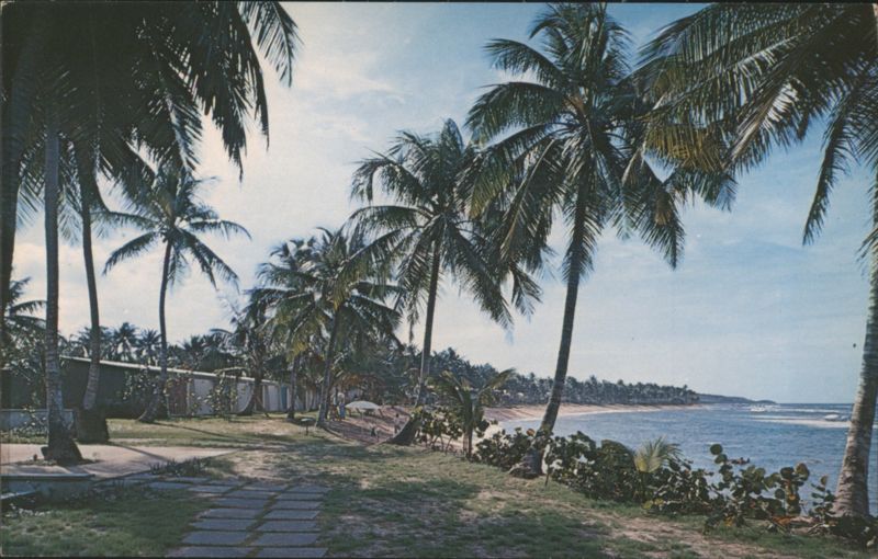 Dorado Beach Hotel Waterfront, Palm Trees, Ocean Puerto Rico