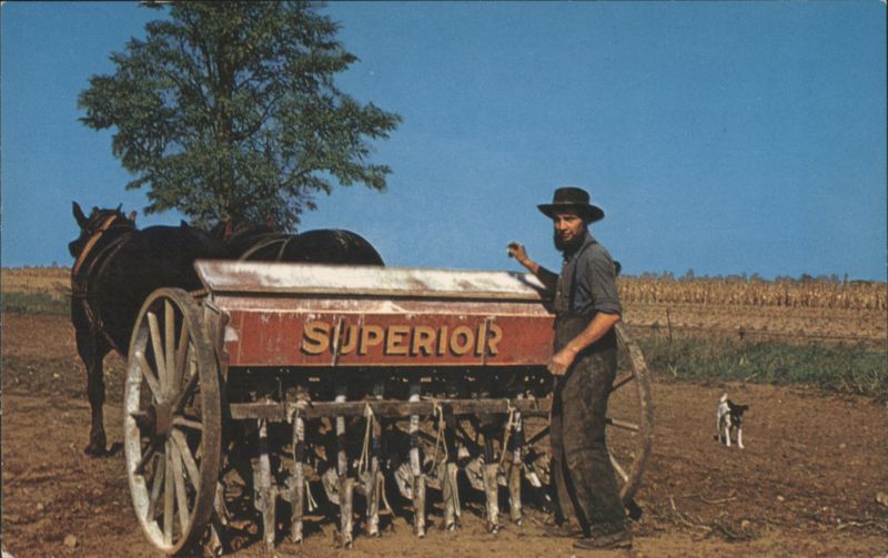 Amish Farmer, Superior Seeder, Horses - Pennsylvania Dutch Country