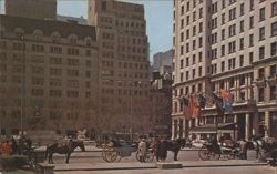 Hansom Cab, Central Park, New York City Postcard