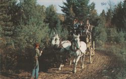 Stage Coach Hold Up on Dry Gulch Trail, Frontier Town, NY Postcard