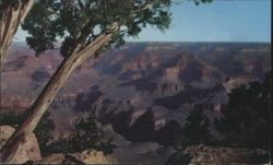 Grand Canyon National Park, Yavapai Point, Early Morning Postcard
