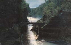 Letchworth State Park Lower Falls Genesee River Foot Bridge Postcard