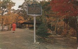Wellsboro PA Grand Canyon Pine Creek Path Chrome Postcard Postcard