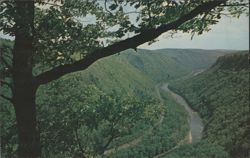 Pennsylvania's Grand Canyon, Colton Point Lookout Postcard